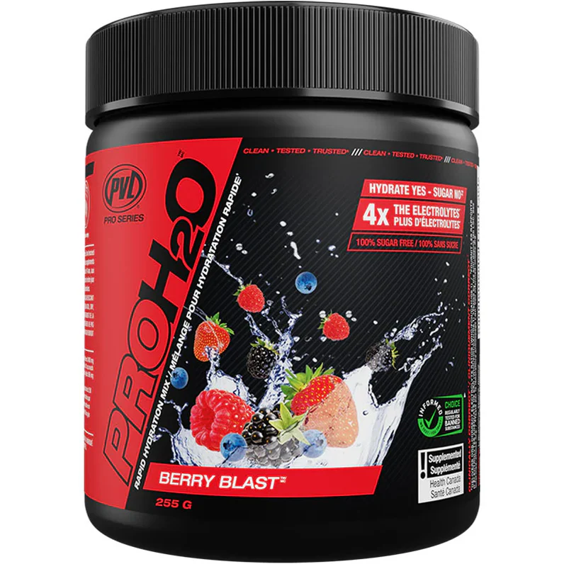 PVL PRO H20 255g hydration