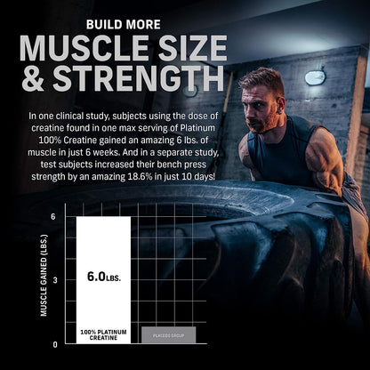 MuscleTech - Essential Series Platinum Creatine Unflavored 400 g